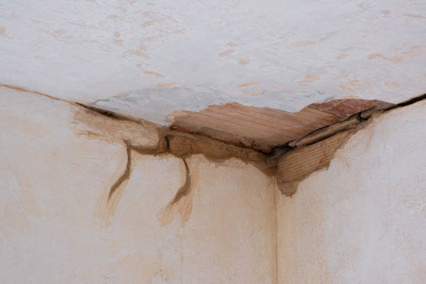 Best Flood damage cleanup  in Baldwinsville, NY
